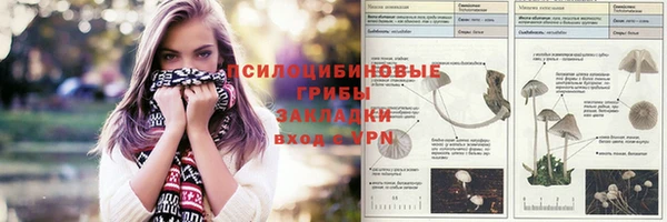 spice Алексеевка