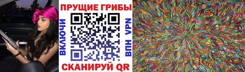 Псилоцибиновые грибы Psilocybe Гаджиево