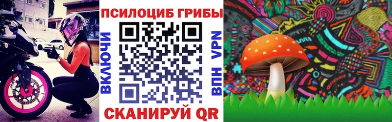 цена   Гаджиево  Псилоцибиновые грибы GOLDEN TEACHER 